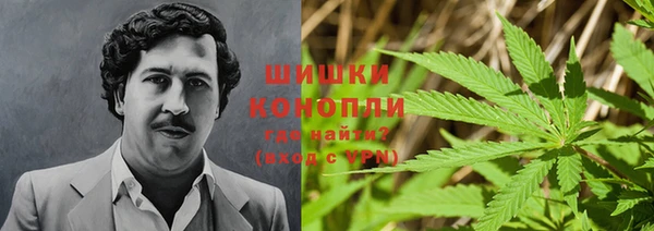 каннабис Новодвинск