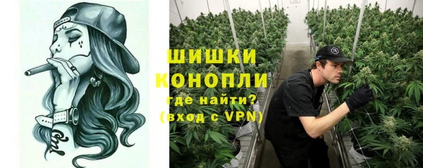 каннабис Новодвинск
